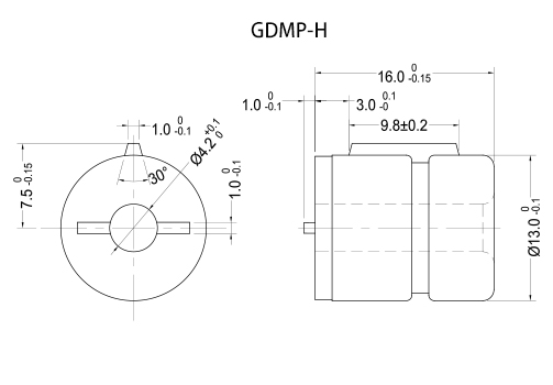 GDMP-H  2D 503X350.jpg